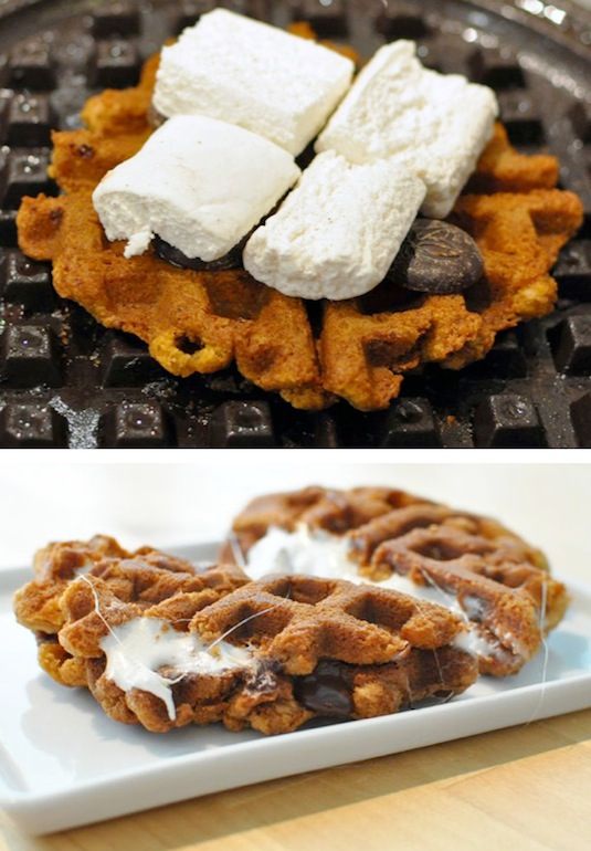 23 Things You Can Cook In A Waffle Iron | Waffle Iron S'mores