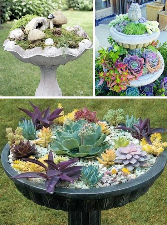 24 Creative Garden Container Ideas | Bird bath planters!