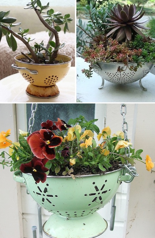 old pasta strainer as a planter