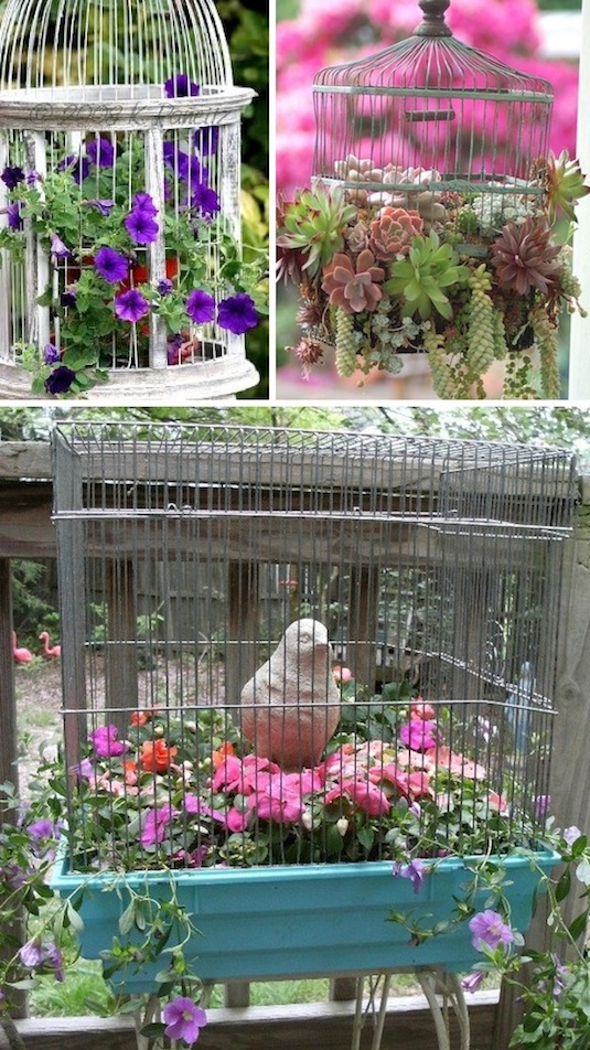  bird cages as planters