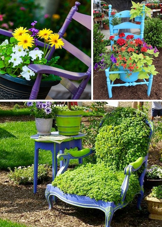 chairs as planters and garden display