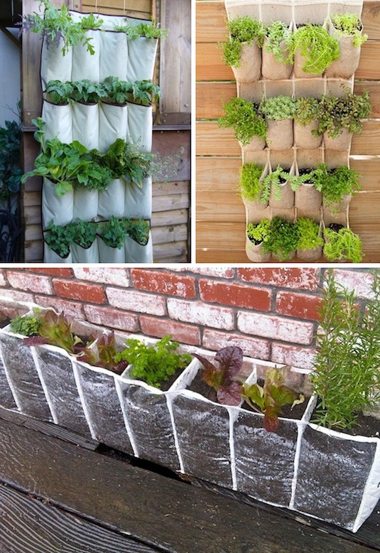 hanging shoe racks to grow a vertical garden