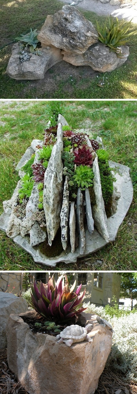  rocks as planters