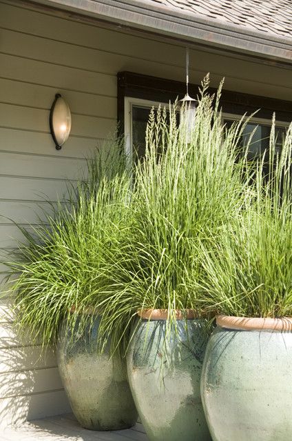 13 Attractive Ways To Add Privacy To Your Yard & Deck (With lots of pictures and resources)