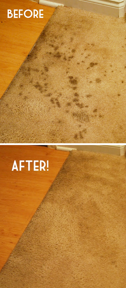 The best way to clean carpet. -- DIY household cleaning tips, tricks and hacks for your home bathrooms, kitchens, bedrooms, floors, furniture and more! Perfect for a lazy girl like me. Listotic.com 