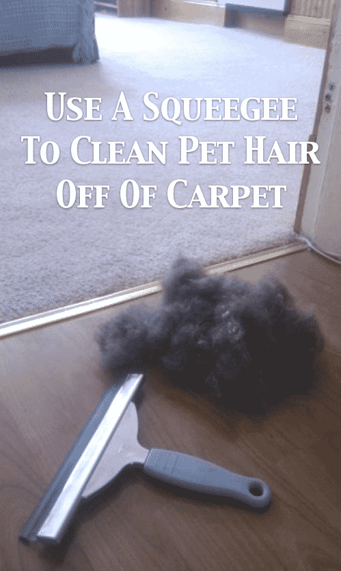 Cleaning tips for pets -- DIY household cleaning tips, tricks and hacks for your home bathrooms, kitchens, bedrooms, floors, furniture and more! Perfect for a lazy girl like me. Listotic.com 