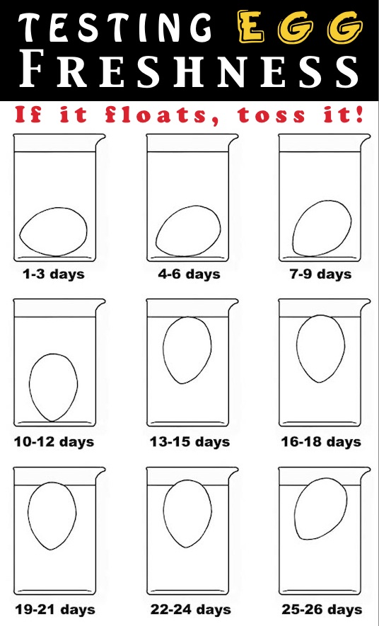 How to tell if eggs are good or bad in water! Lots of kitchen tips, tricks and hacks here! Everything from organization to food and cooking. Listotic.com