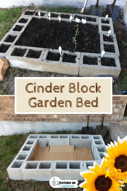 Cinder block garden bed.