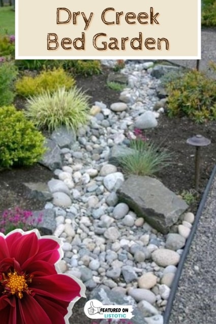 Dry creek bed garden.