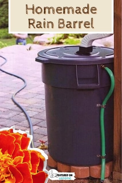 DIY rain barrel.