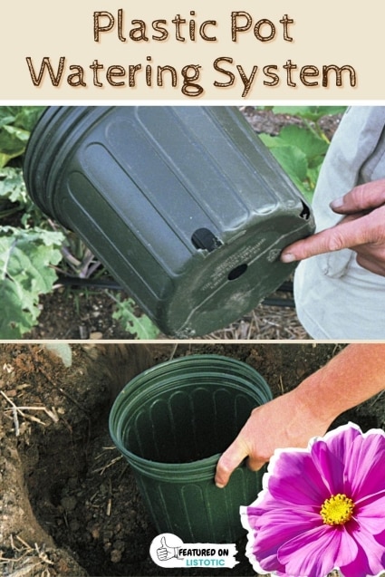 Gardening tips and ideas.