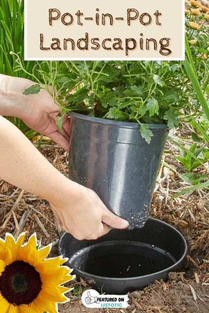 Pot in pot landscaping.