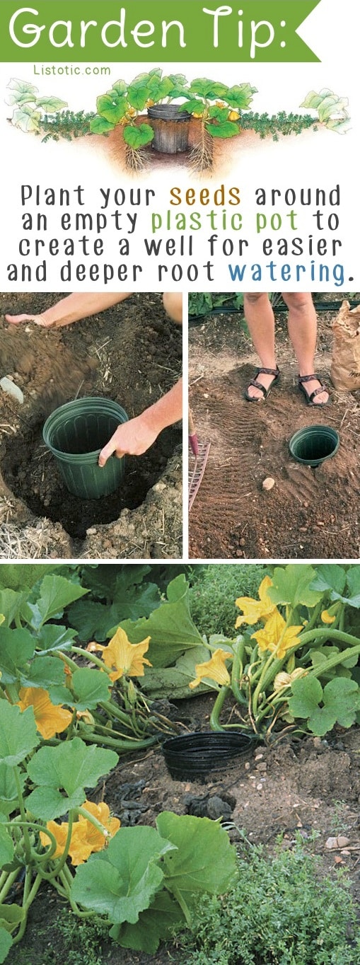 DIY Garden Idea for vegetables, plants or flowers. -- Easy DIY gardening tips and ideas for beginners and beyond! Tips and tricks for your flower or vegetable garden, or for your front or backyard landscaping design. A few garden projects and ideas you can do for cheap! Listotic.com