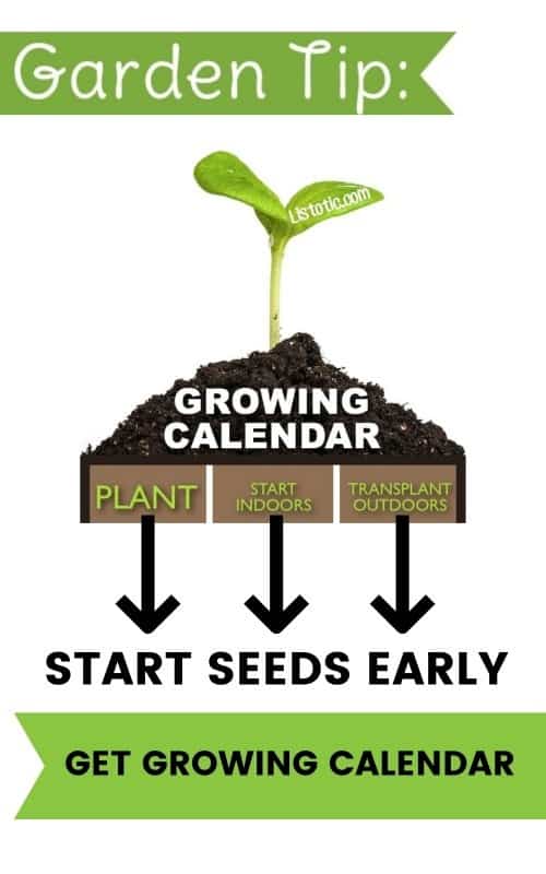 growing calendar for vegetable gardens and seeds 