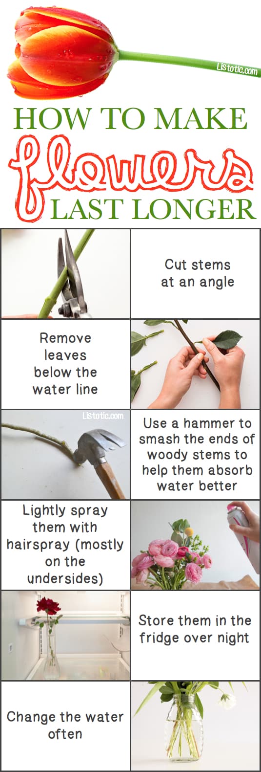 #12. Keep your cut flowers lasting twice as long! -- 13 Clever Flower Arrangement Tips & Tricks