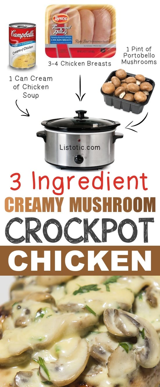 3 Ingredient Creamy Mushroom Crockpot Chicken Recipe 