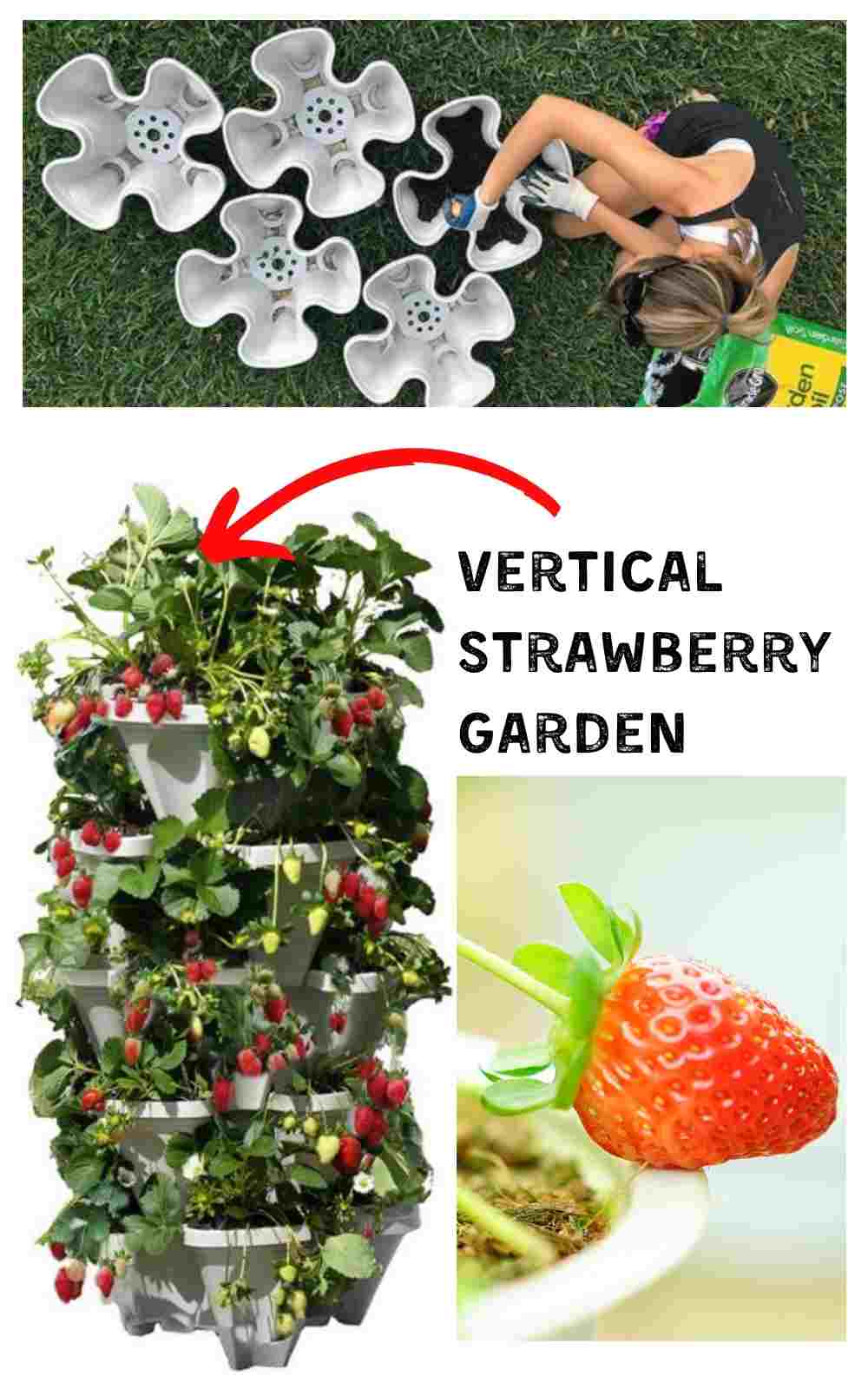 creative garden container idea vertical strawberry planter