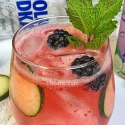 My favorite skinny cocktail recipe made with vodka, La Croix, blackberries, cucumber, mint and lime.