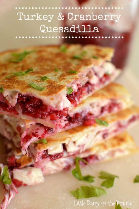 Kid friendly turkey and cranberry quesadillas. Easy, quick kid friendly meal.