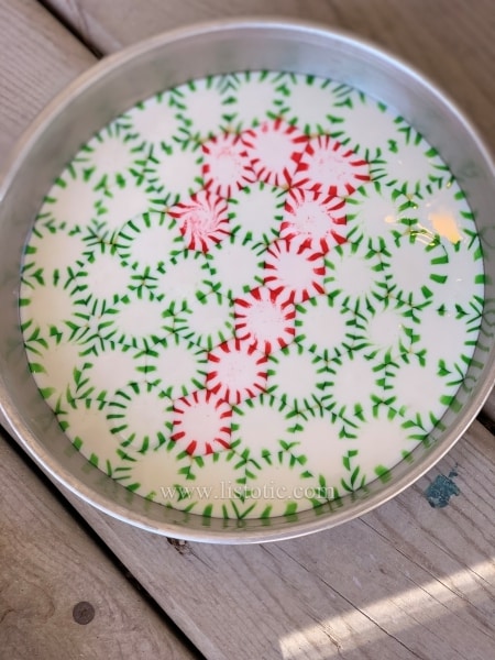 Pan with green mints melted in the bottom with candy cane in red mints.