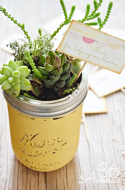 Painted mason jars are perfect for giving flowers or succulents to a teacher for Valentine’s Day.