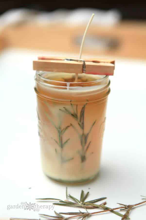 Mason Jar Rosemary pressed herb candle DIY.