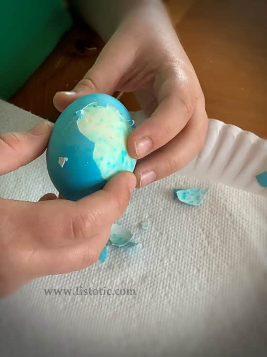 Blue dyed hard boiled Easter egg easy peeled by a child for a nutritional protein packed snack. 