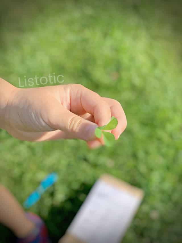 child holding a clover found in the grass with 3 leaves and marking it off of the scavenger hunt free printable 