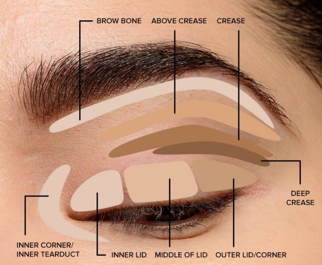 Step by step eyeshadow tutorial for beginners.