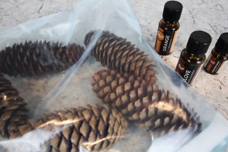 Pine cones in a ziplock bag with cinnamon essential oils on a counter 