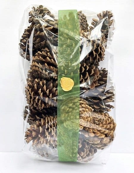 craft pinecones in a bag