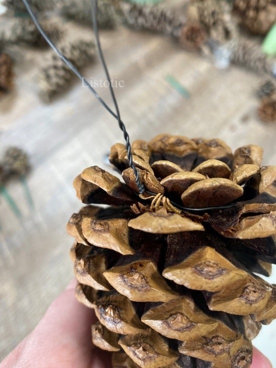 Pinecone with wire wrapped around the base 