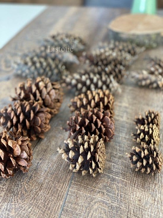Pinecones set on a table arranged by size and color