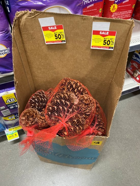 Cinnamon Scented Pine Cones - 12 Bags