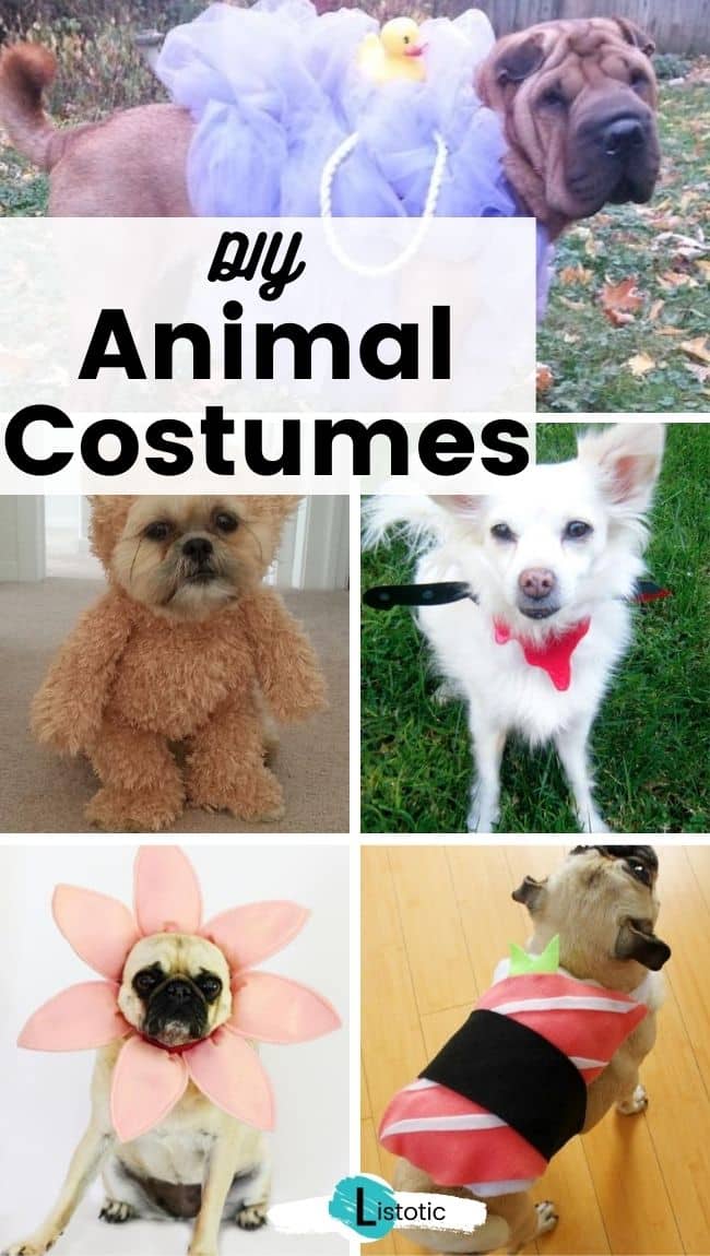 DIY Animal Halloween Costumes.