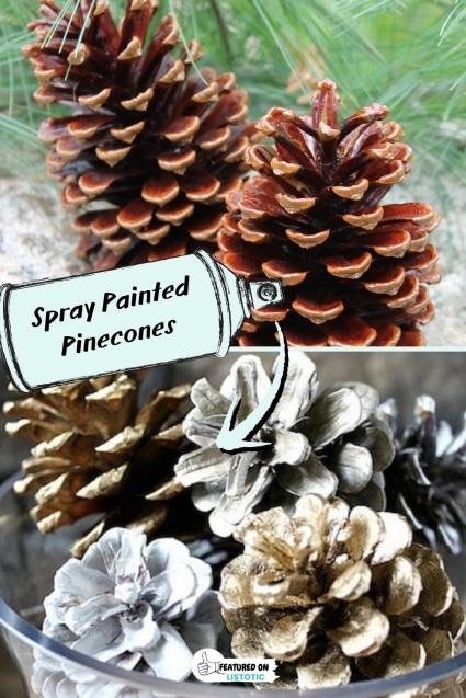 Pinecones craft.