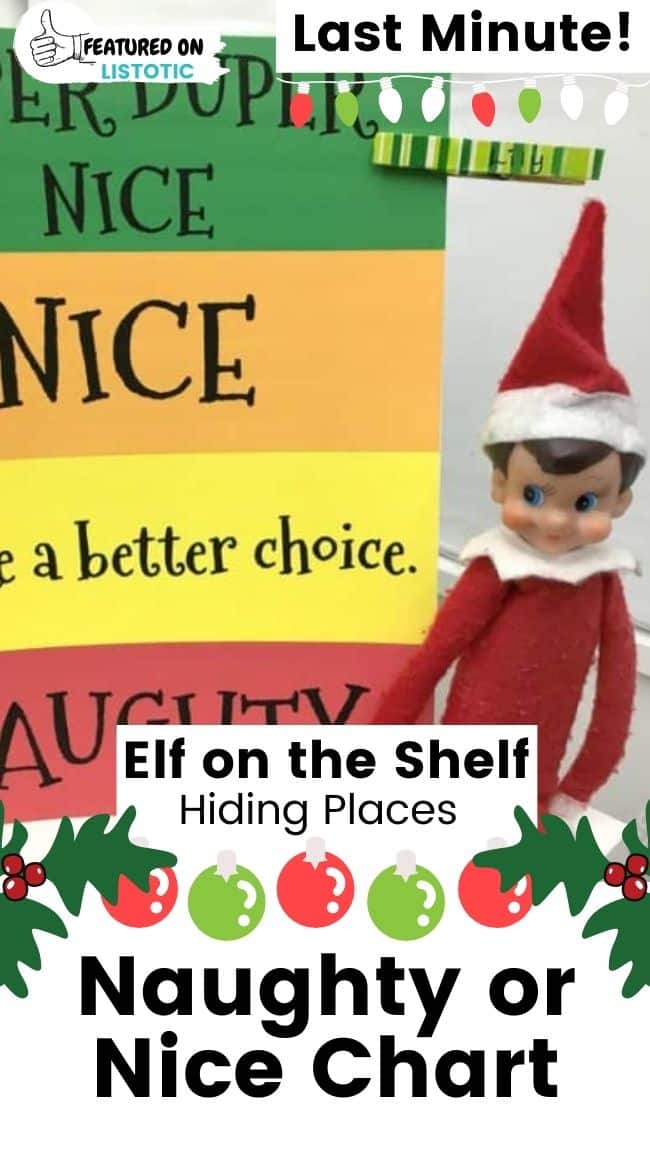 Elf on the Shelf naughty or nice chart.