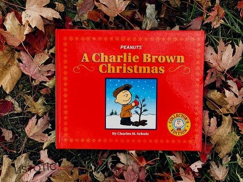 Weihnachtsgeschichten zum Vorlesen Charlie Brown Weihnachtsgeschichten für Kinder