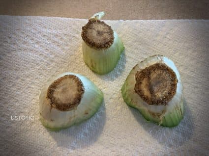 celery stems to make celery stamp art a craft idea for kids