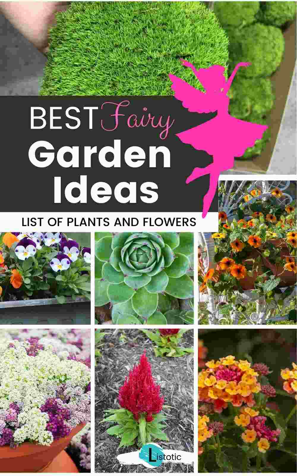 Best Fairy Garden Ideas and hardy annual flowers