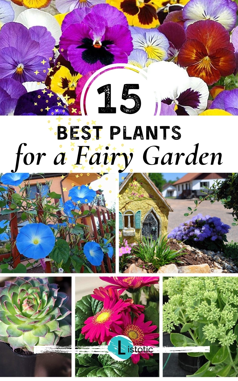 10 Miniature Flowering Plants for a Blossoming Fairy Garden