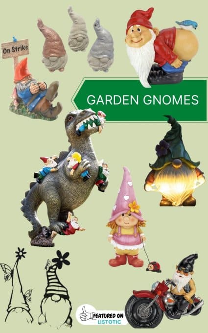 fairy garden gnomes