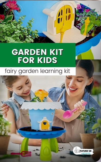 fairy garden ideas