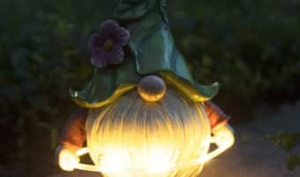 solar gnome