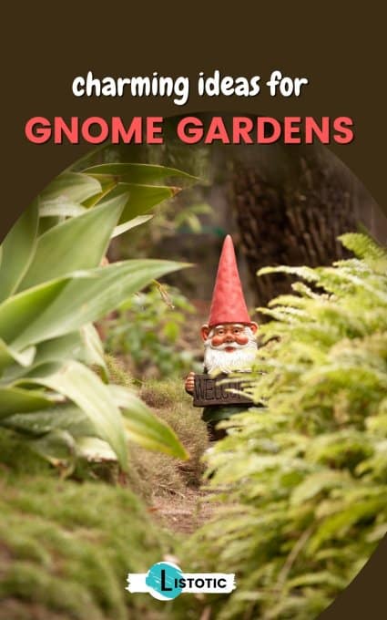 gnome hiding in the backyard garden