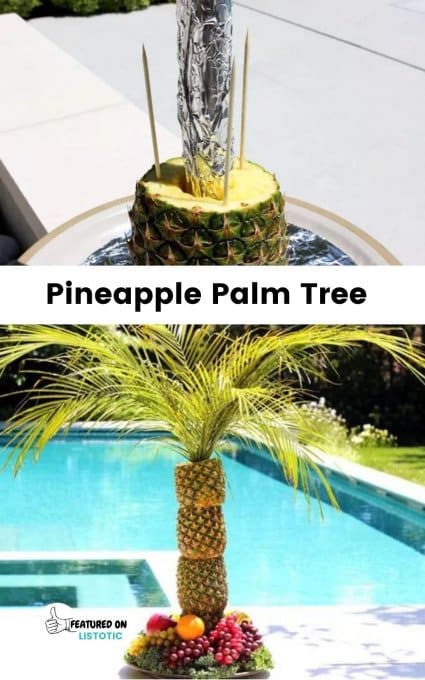 pineapple palm tree