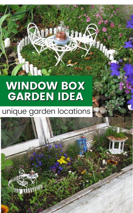 small miniture garden inside a window box