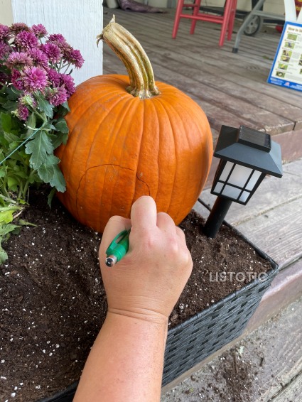 pumpkin fairy house door outline