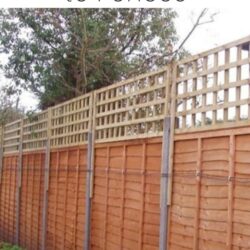 Add height to fences.