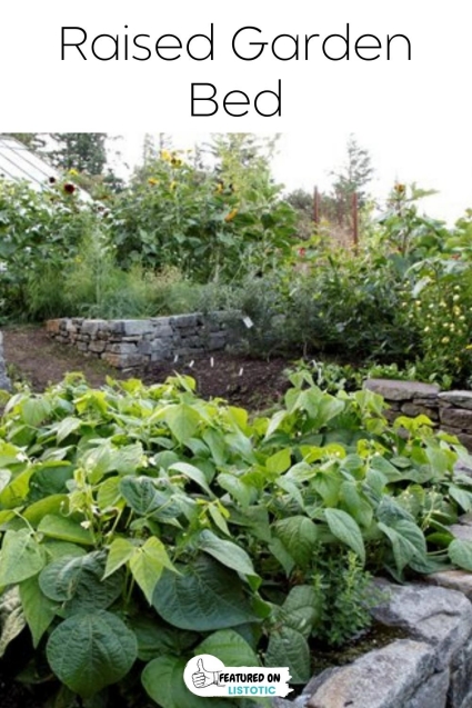 When To Plant Vegetable Garden - Get Help and Garden Ideas ⋆ Listotic